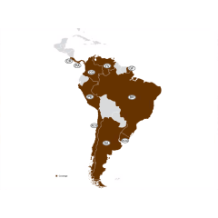 NTG5 South America V10.1