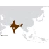 NTG5 India V9